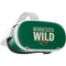 NHL Minnesota Wild Lineup Oculus Quest 2 Skin